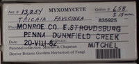 Image Associated With the Occurence